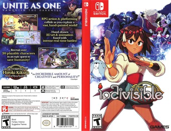 Indivisible Switch cover (AD8BA)